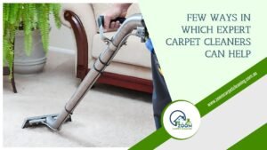 Read more about the article Know the Ways in Which Expert Carpet Cleaners Can Help
